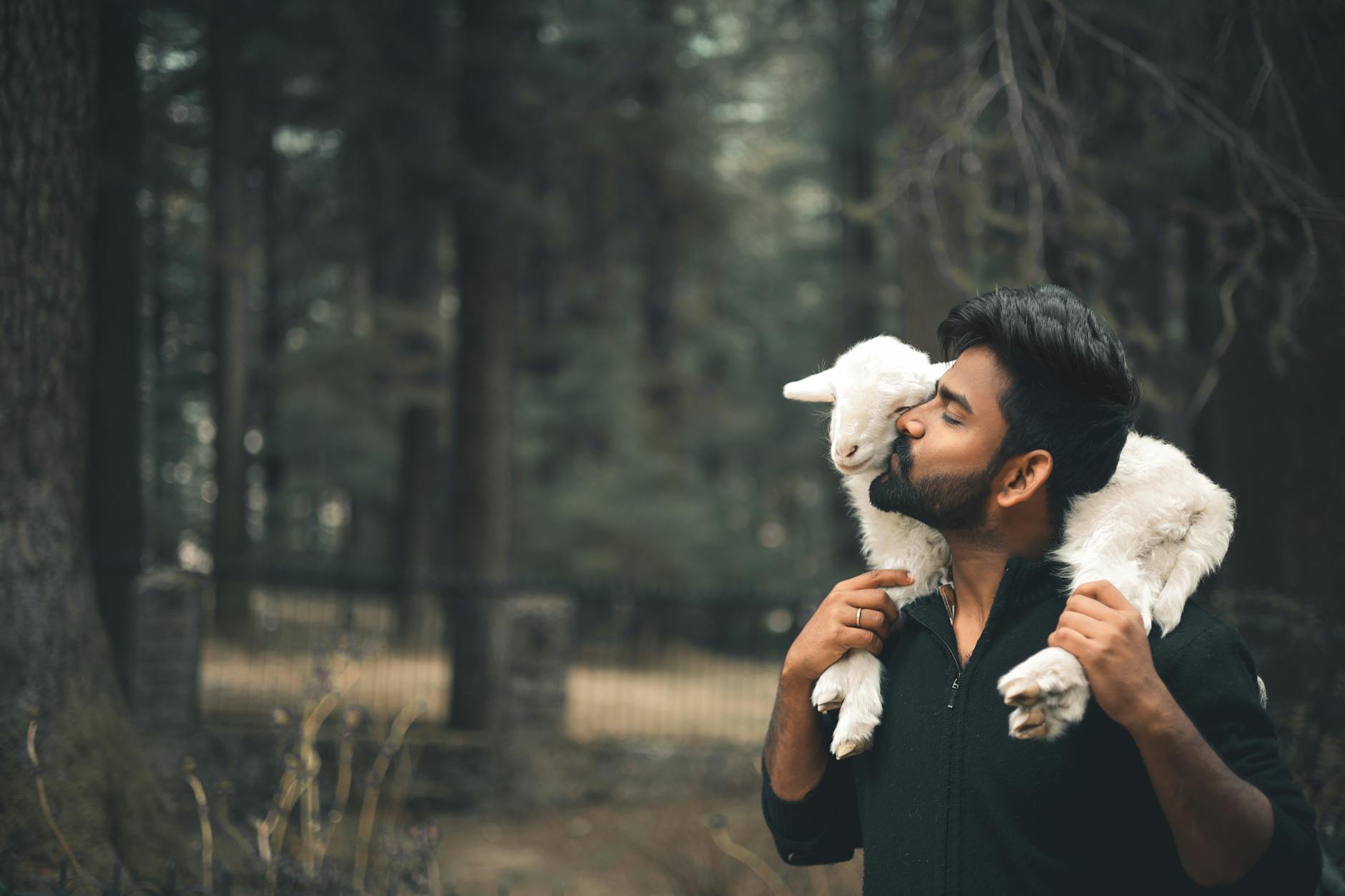 Wat de gelijkenis van de Goede Herder onthult over kwetsbaarheid