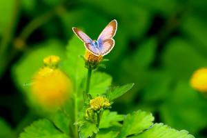 Liefde als levensfundament