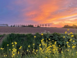 Overdenking voor Pasen